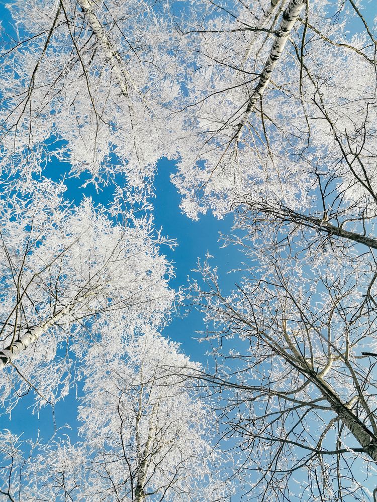 Photograph by Юлия Полуэктова