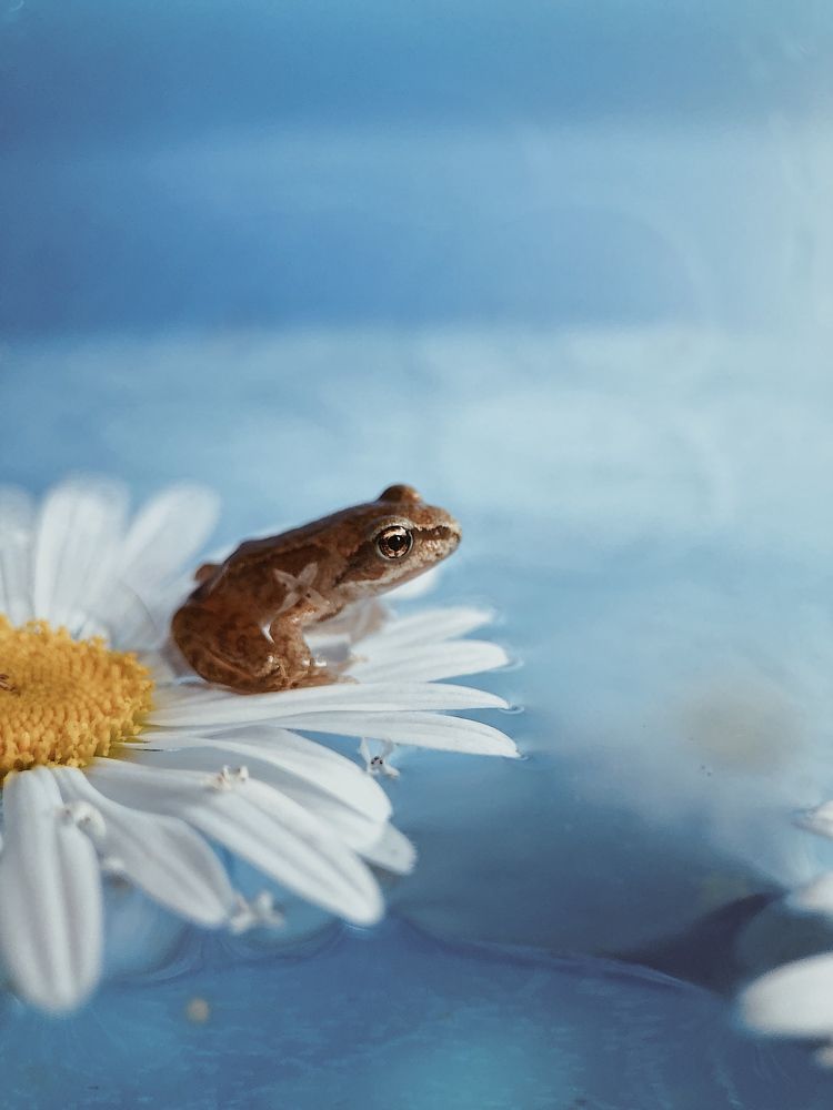 Photograph by Шумилина Марьяна