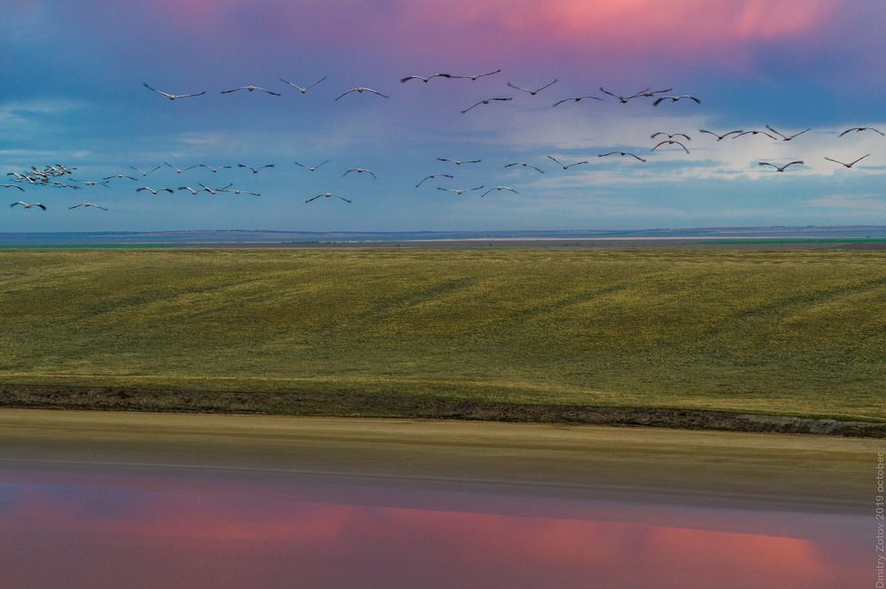 Photograph by Дмитрий Зотов