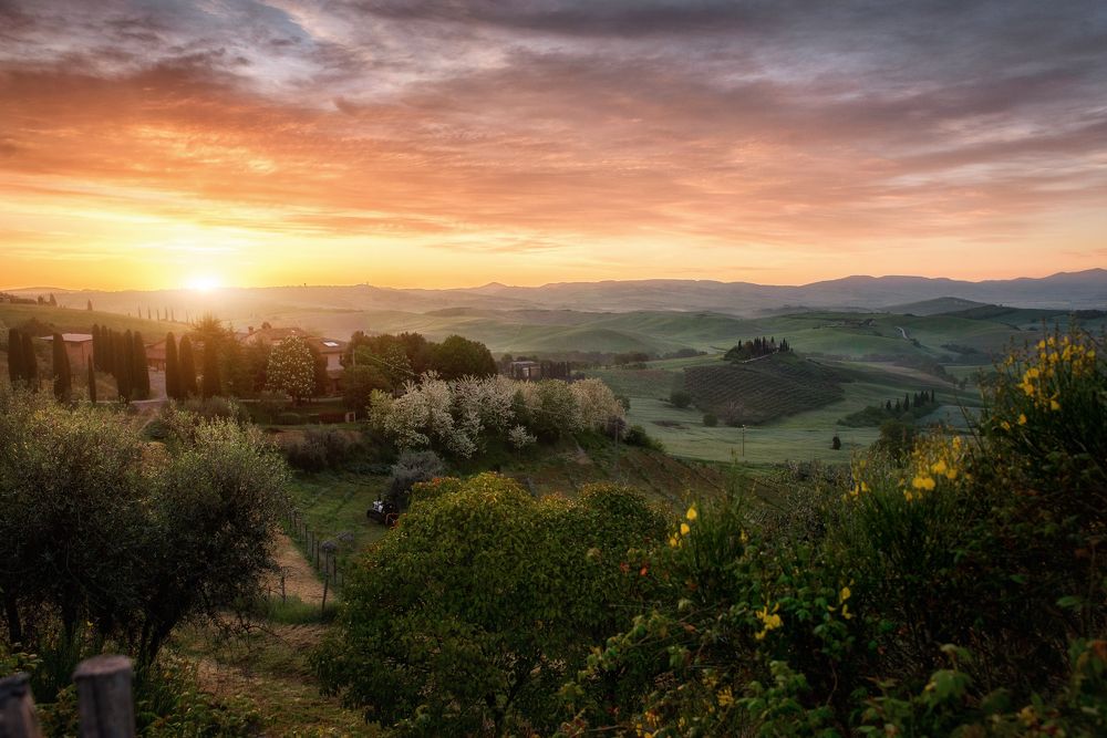 Фотография автора Роман Склейнов