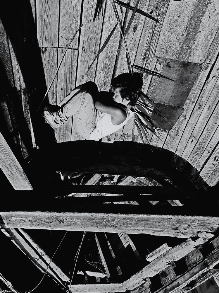 Photograph by Ирина Хромова