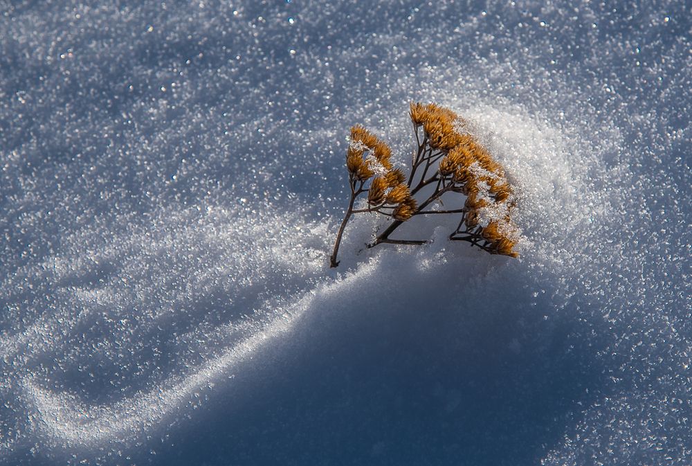 Photograph by Раббе Владимир