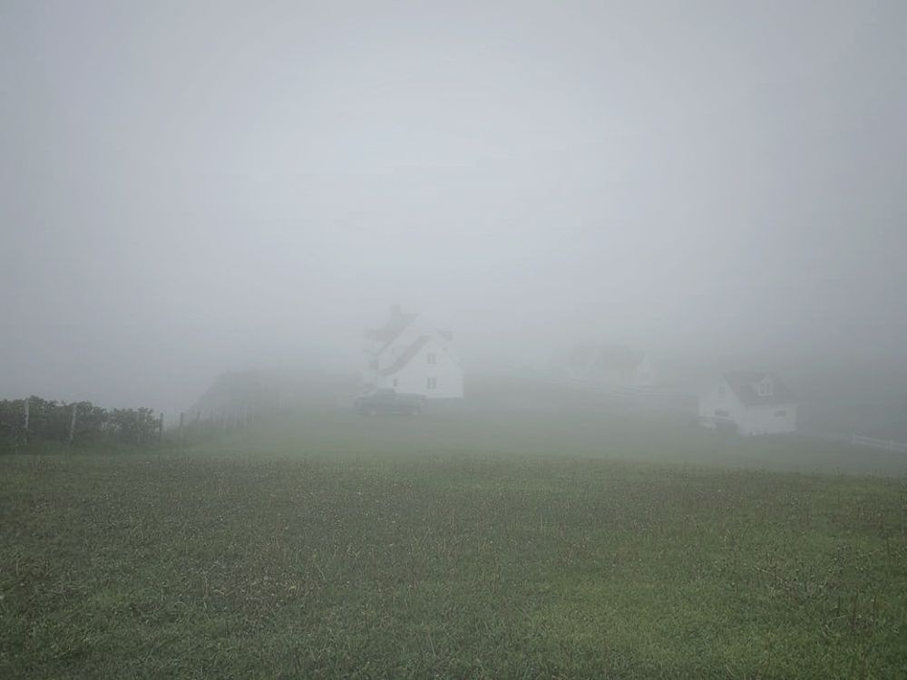 Photograph by Veremeyeva Marina