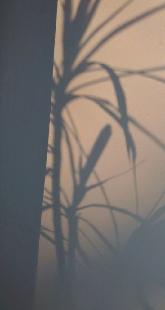 Photograph by Анна Бурлака