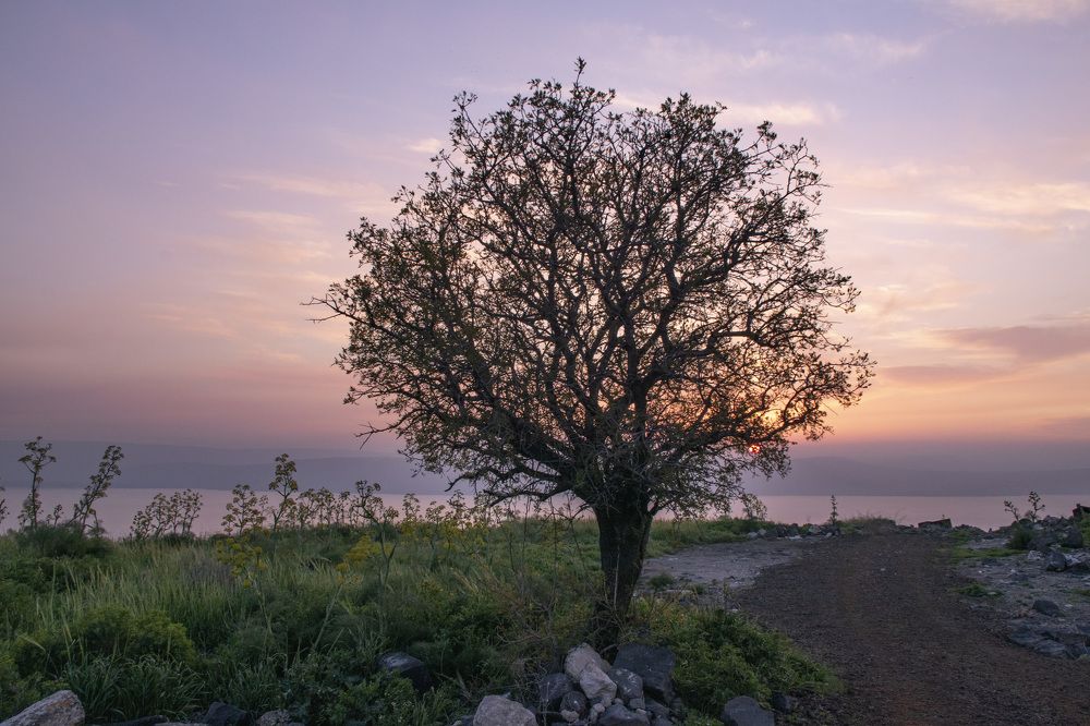 Photograph by Svetlana