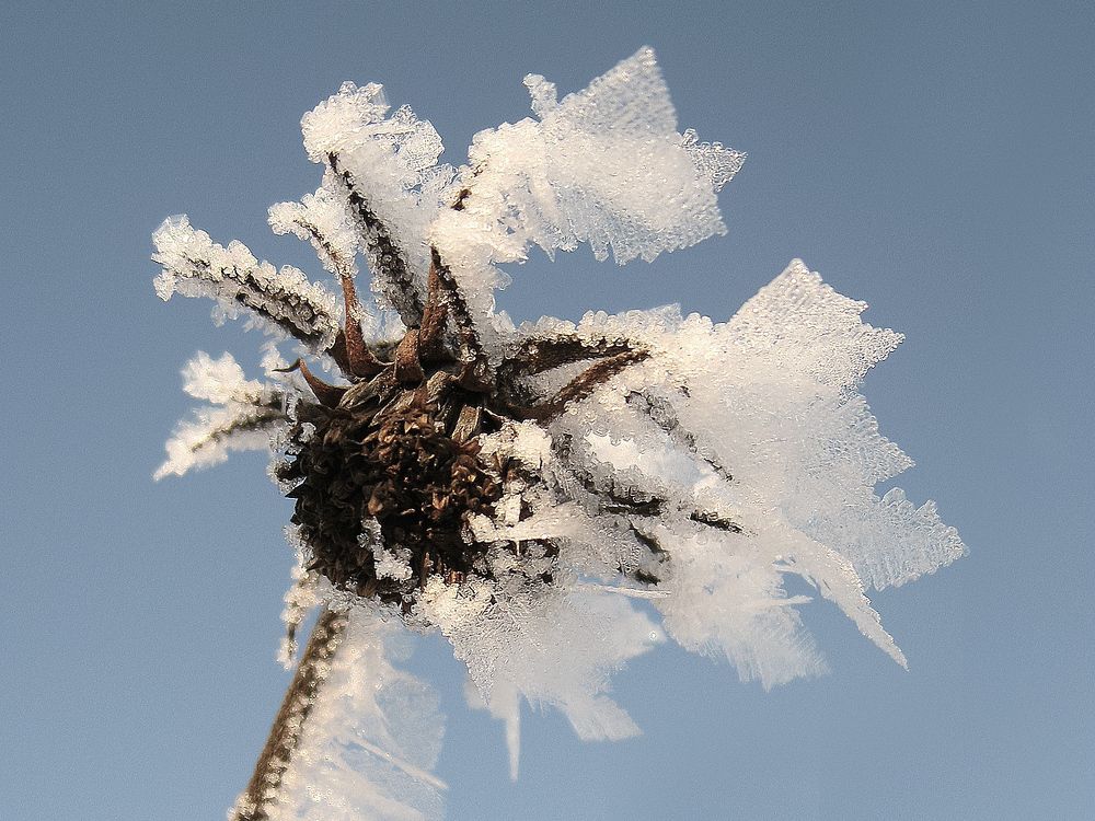 Photograph by Sergejs Barkans