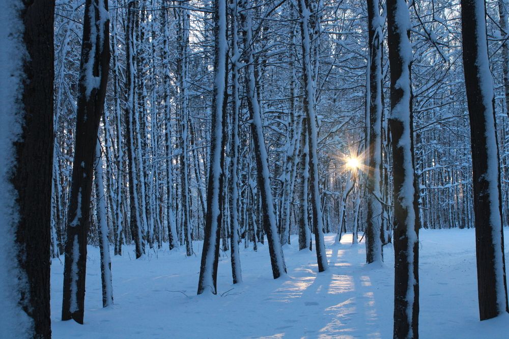 Зимняя сказка