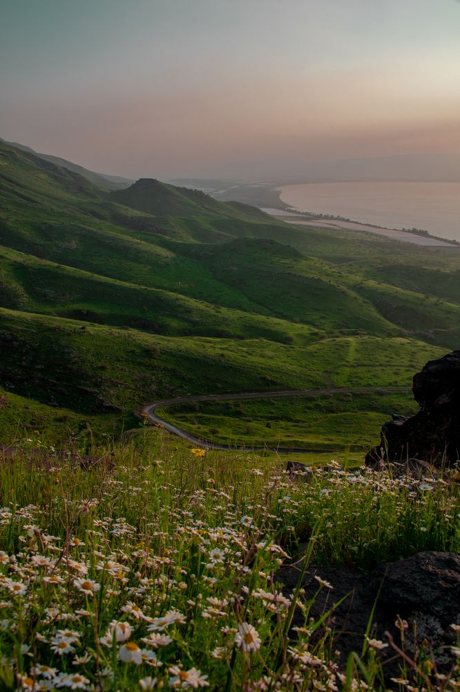 Photograph by Svetlana