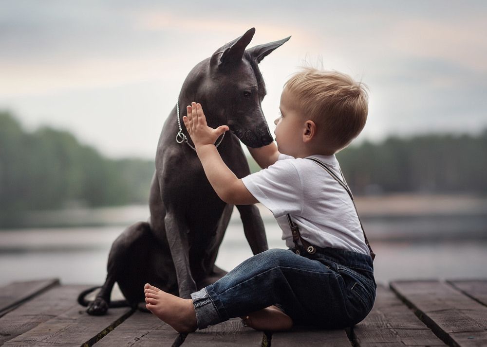 Photograph by Андрей Селиверстов