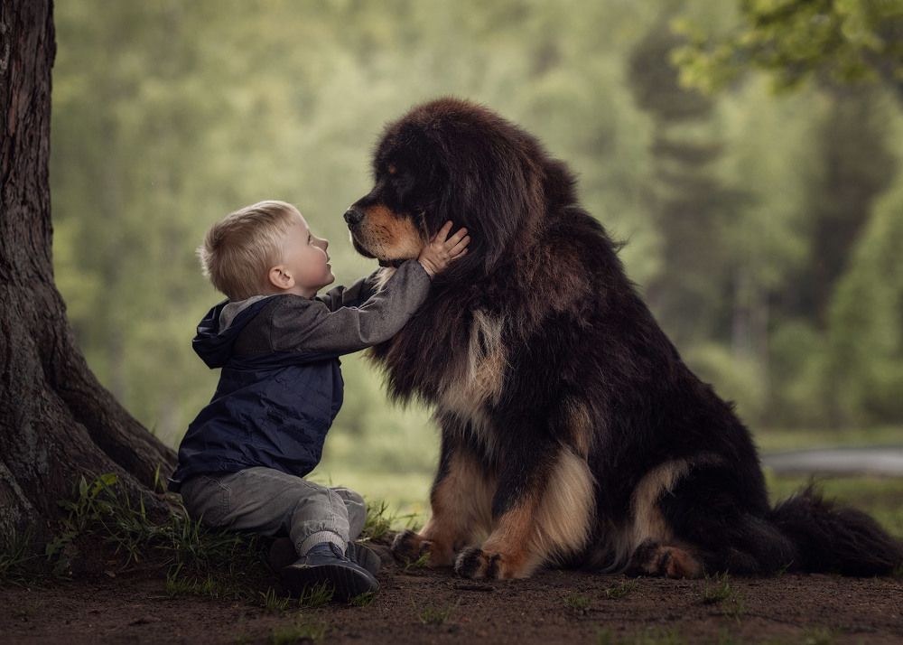 Photograph by Андрей Селиверстов