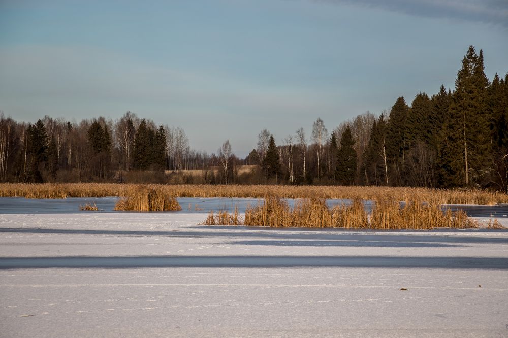Photograph by Алексей Ошвинцев
