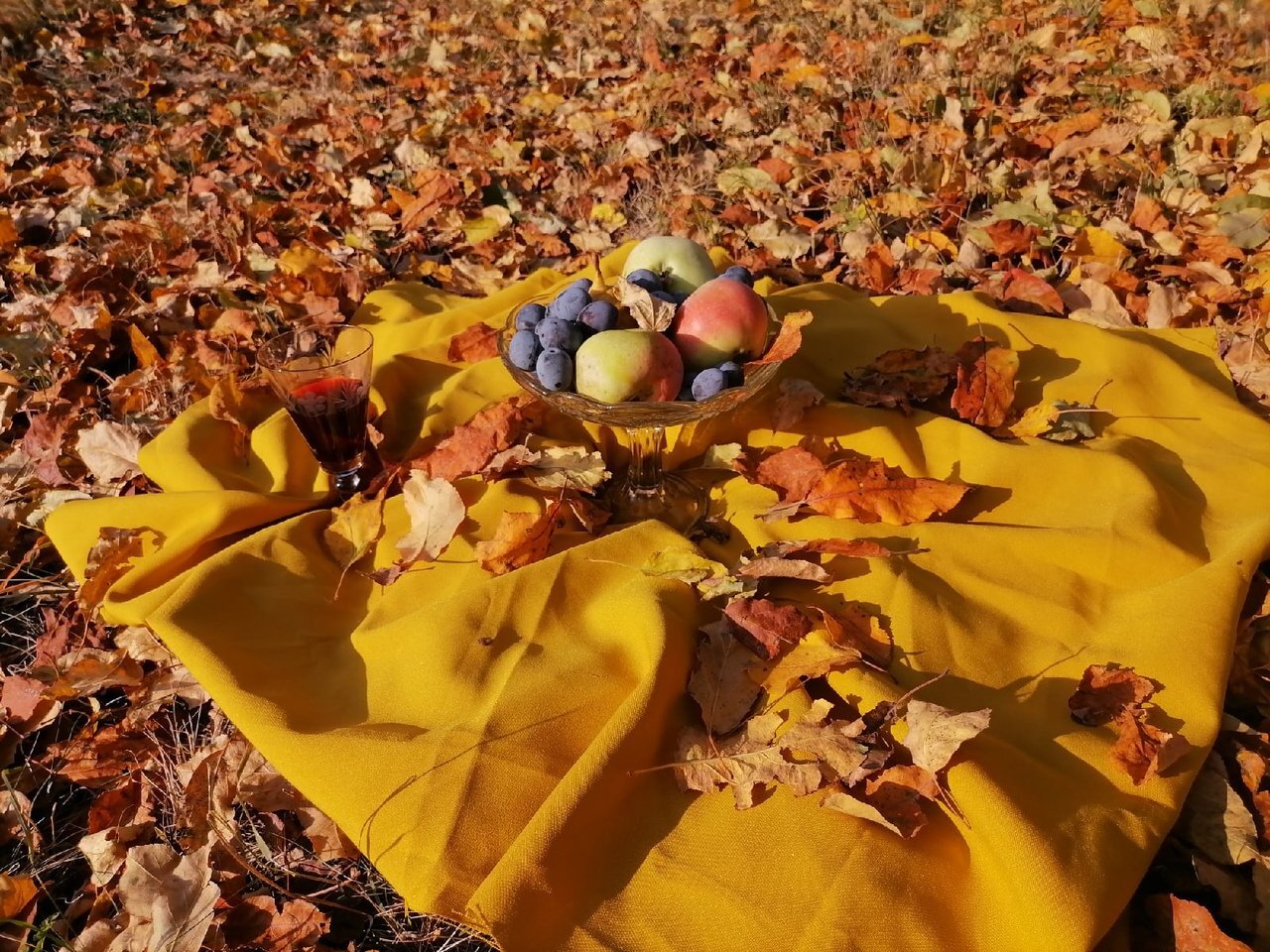 Photo #5880898