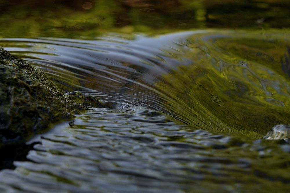 Динамичное пространство