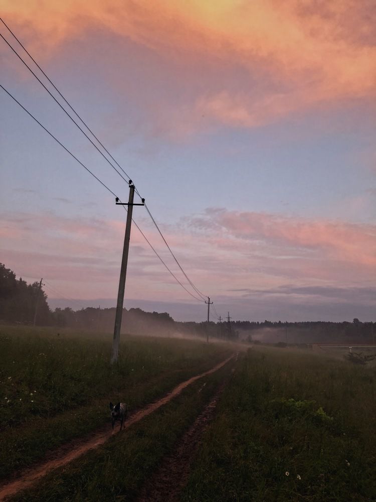 Photograph by Шумилина Марьяна