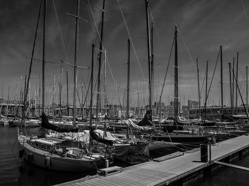 Photograph by pouyan safavi