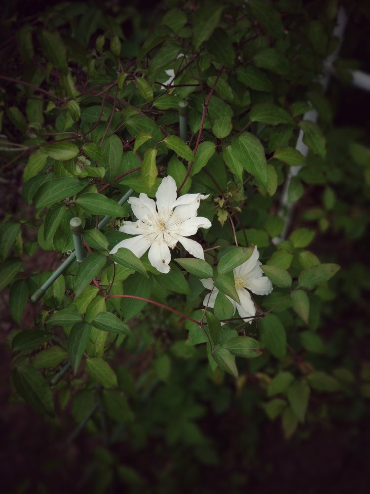 Photograph by Николай