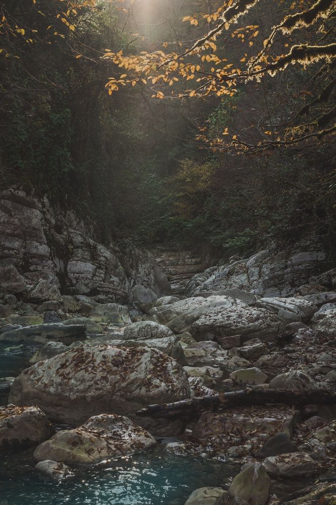 Photograph by Инна Фокина