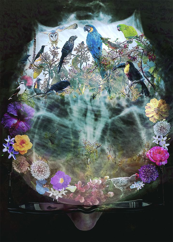 Фотография автора Valdevani Aprigio