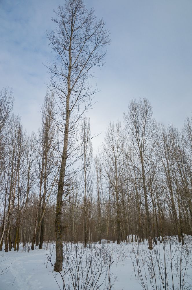 Photograph by Ясинский Юрий