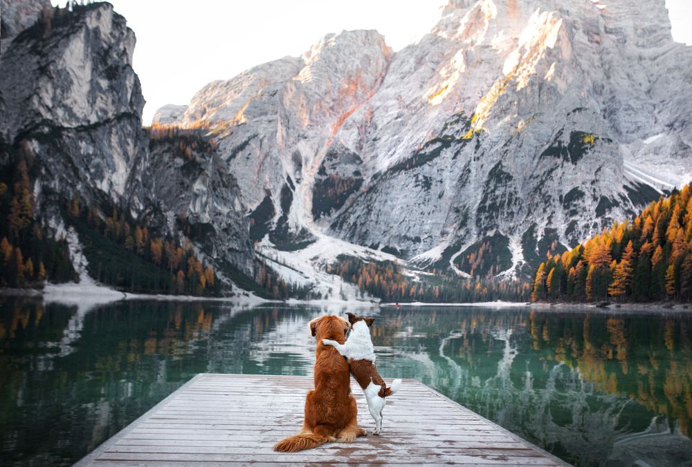 Путешественницы