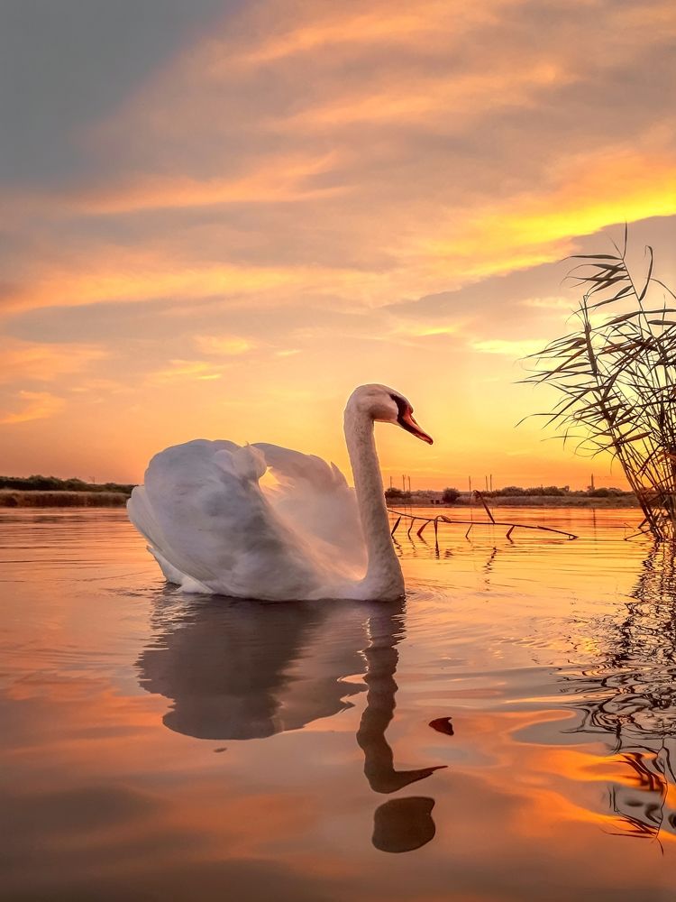 Photograph by Сергей Колос