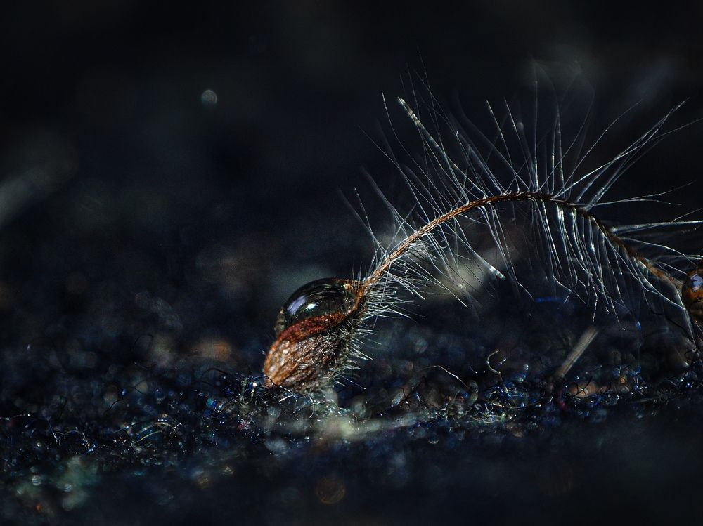 Photograph by Ольга Еженевская