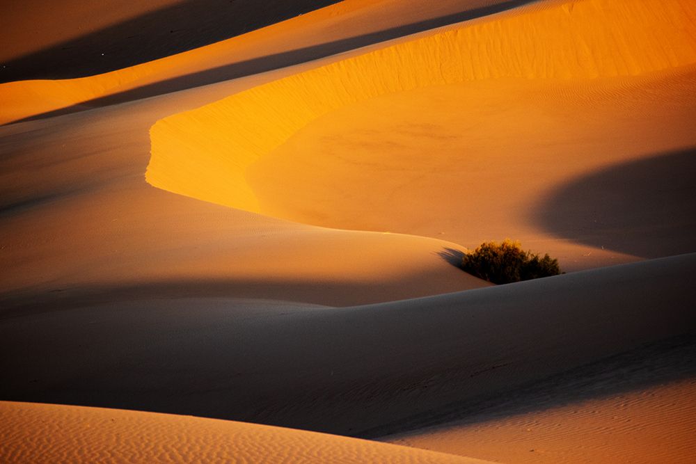 Photograph by Eslami nia Abolfazl