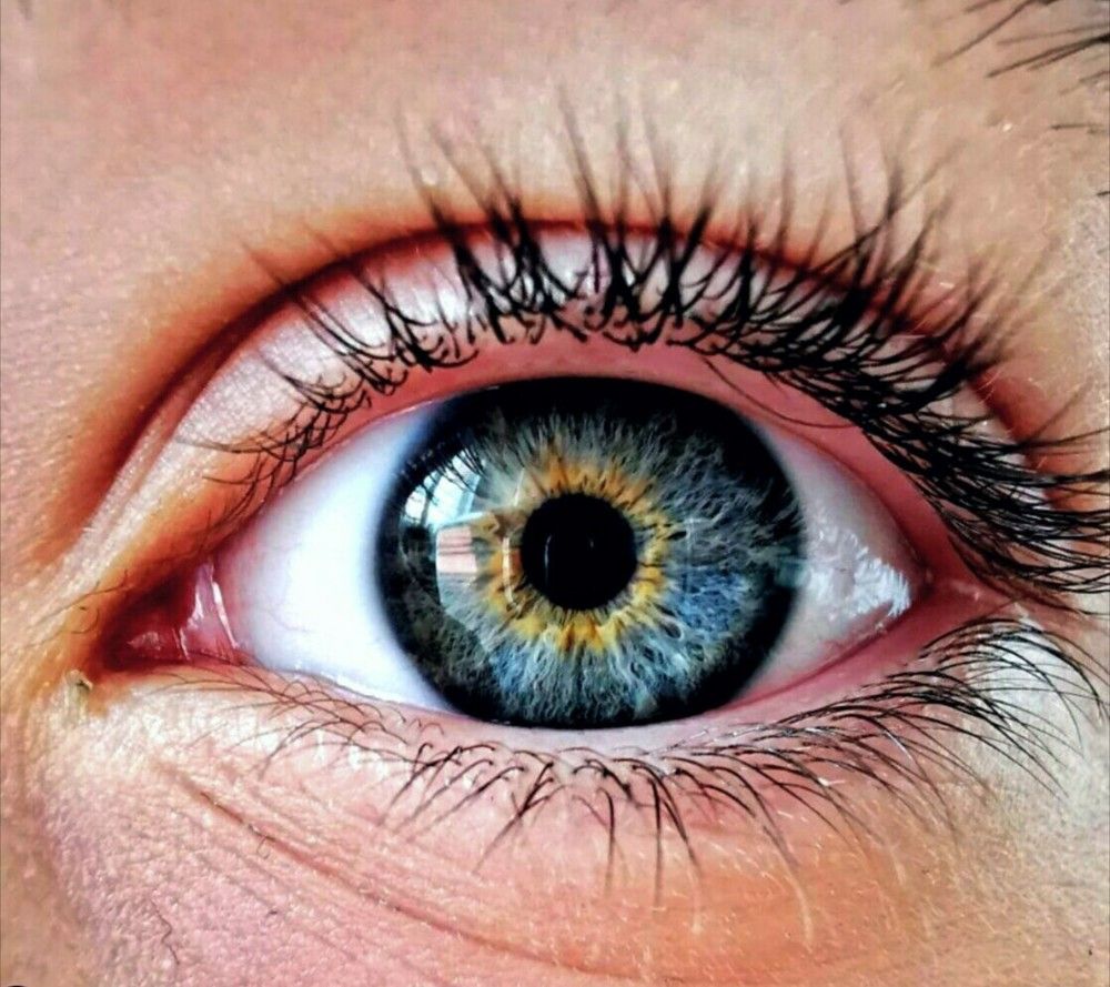 Фотография автора Mansoor Heydaryan