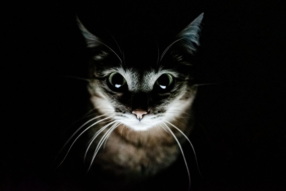 Photograph by Жемчугова Юлия