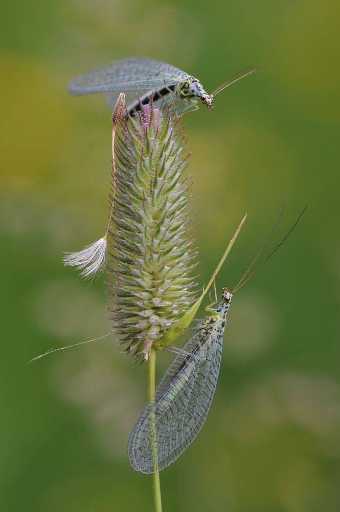 Фотография автора Андрей Чистяков.