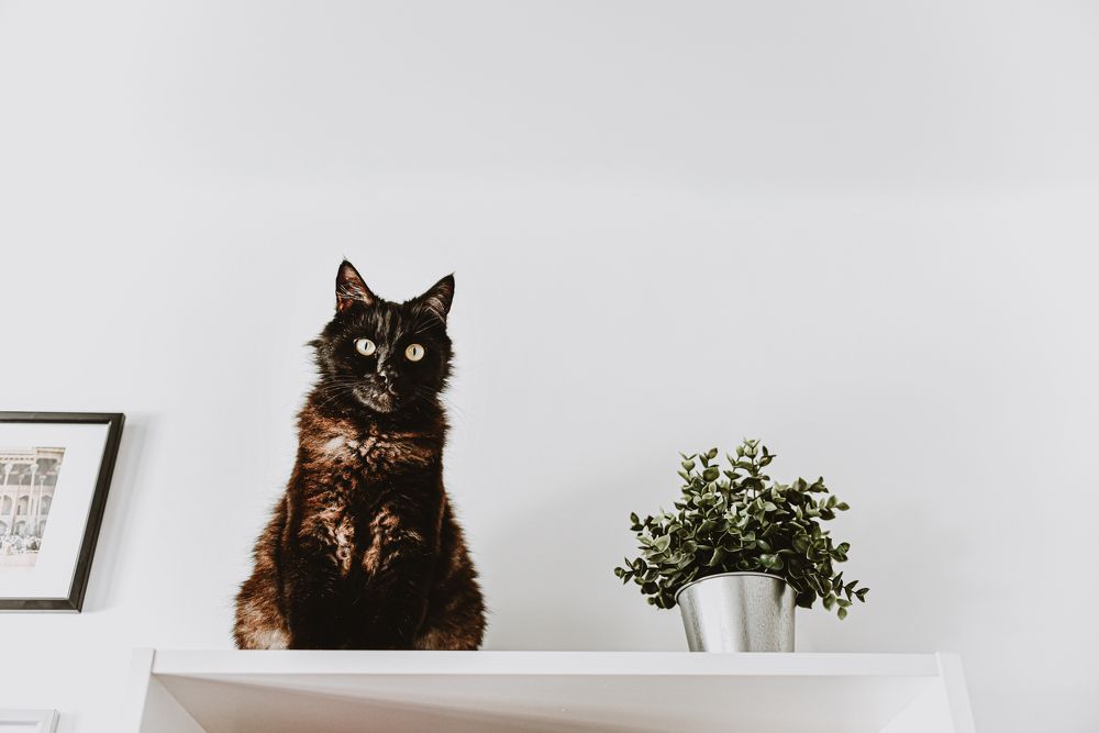 Photograph by Жемчугова Юлия