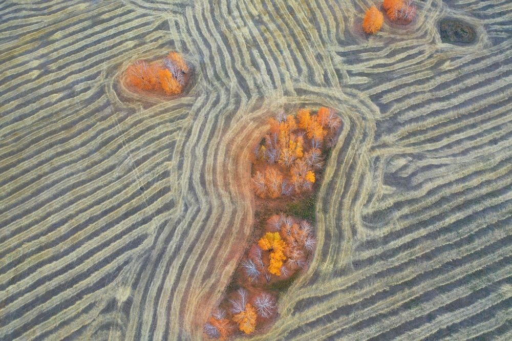 Photograph by Сергей Подгурский