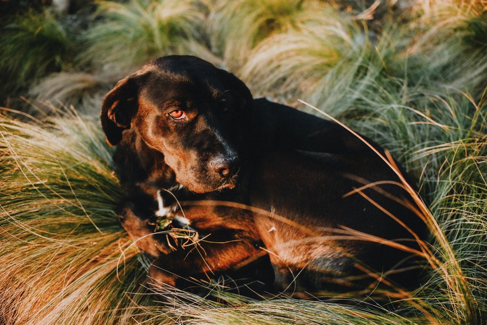 Photograph by Жемчугова Юлия