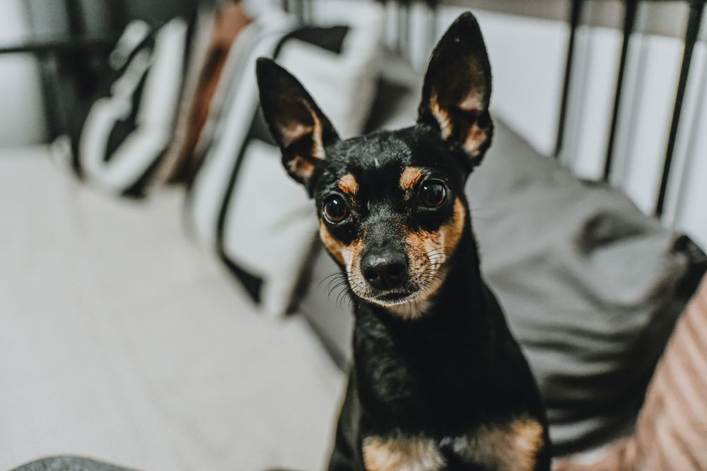 Photograph by Жемчугова Юлия