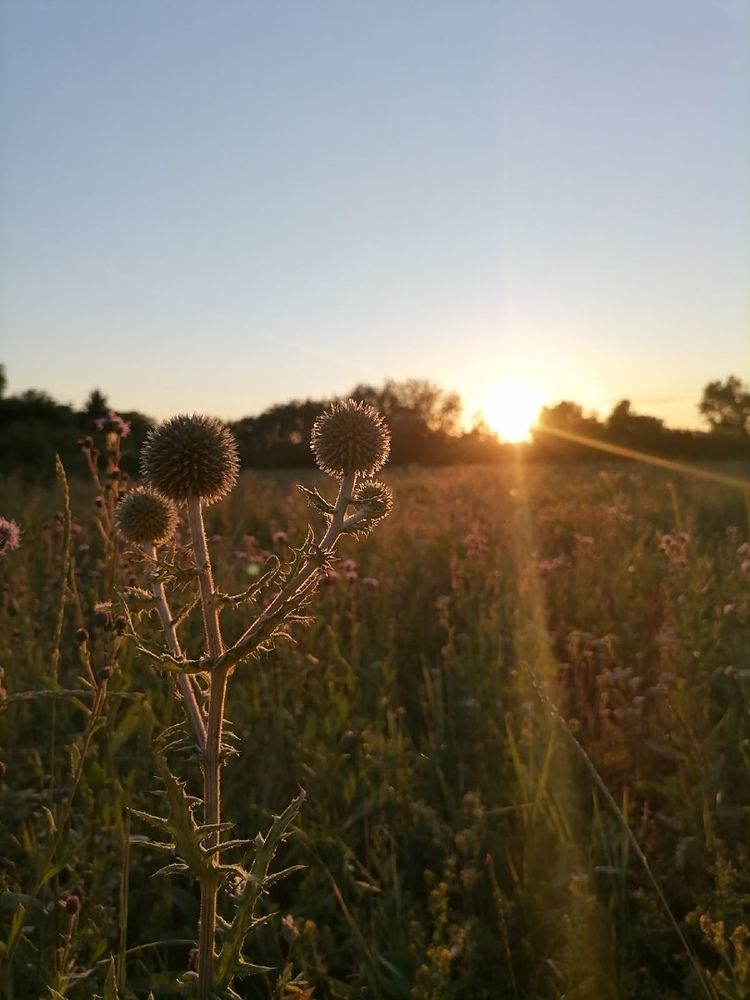 Photograph by Анастасия Мордвинцева