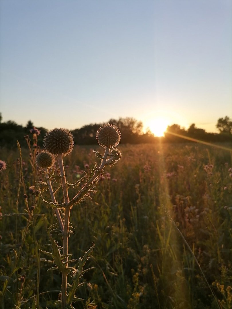 Photo #5881137