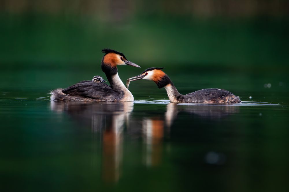 Завтрак для малыша