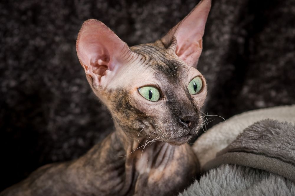 Photograph by Ясинский Юрий