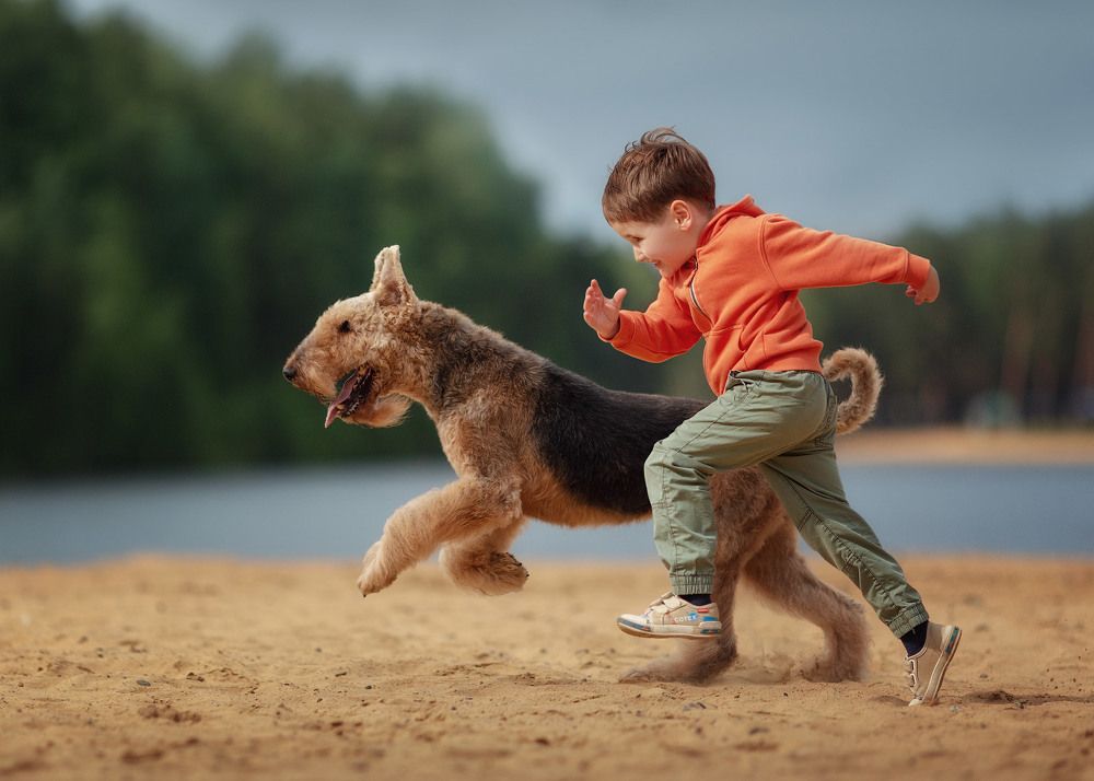 Photograph by Андрей Селиверстов