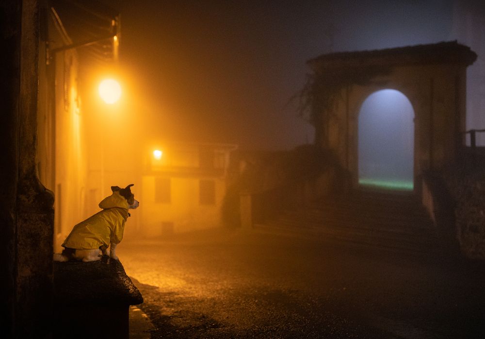 Photograph by Анна Аверьянова