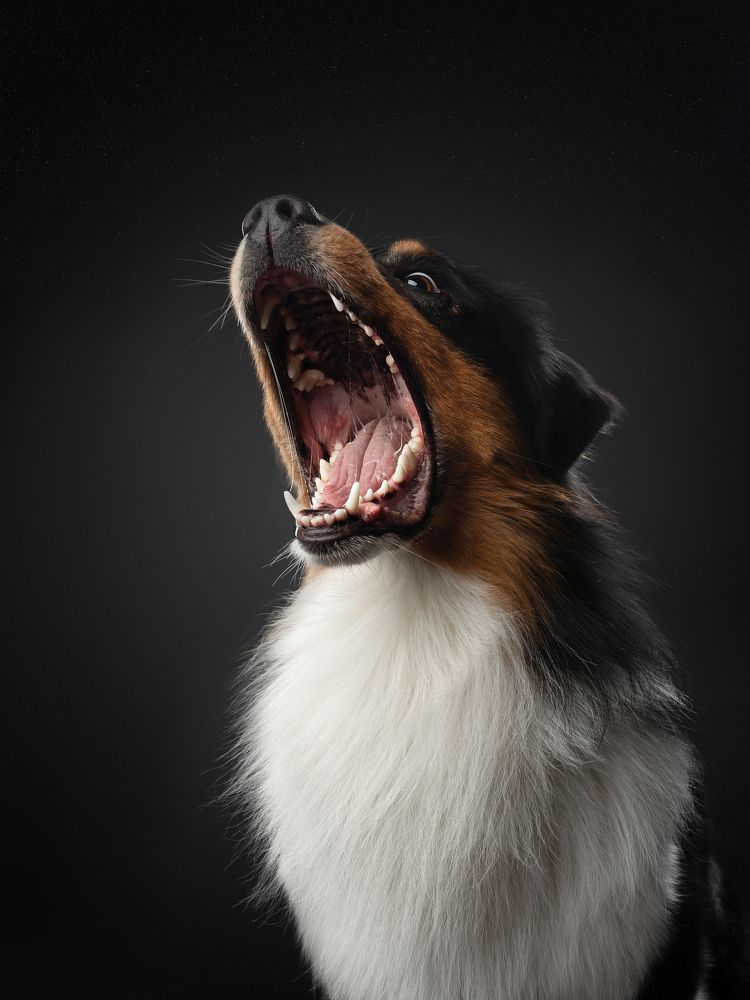 Photograph by Анна Аверьянова