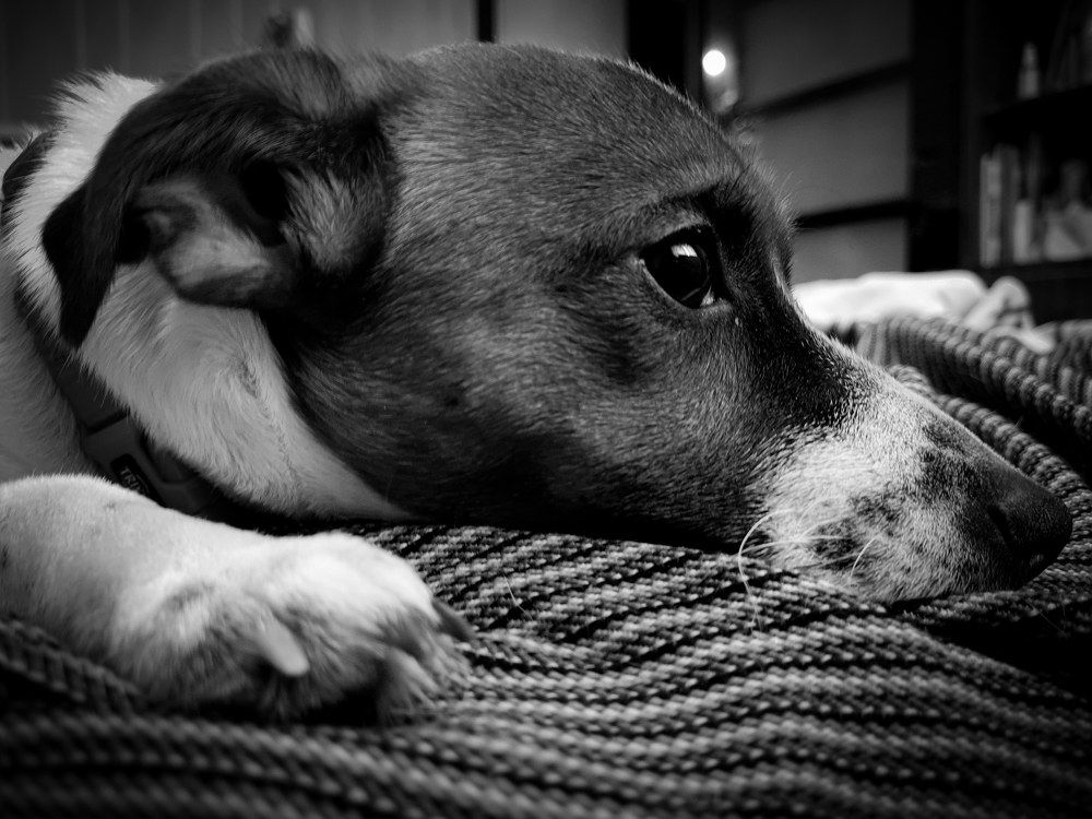 Photograph by Anastasiia