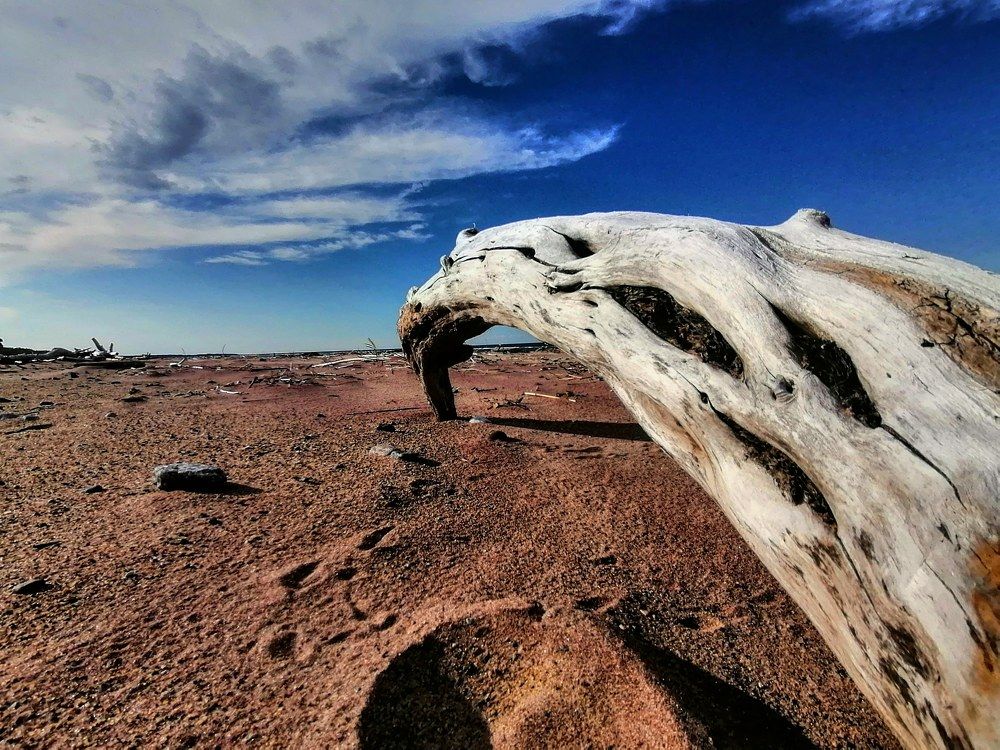 Photograph by Ольга