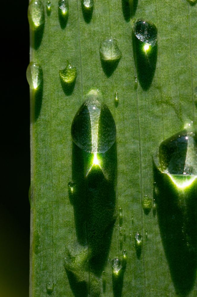 Photograph by Максим Захаров