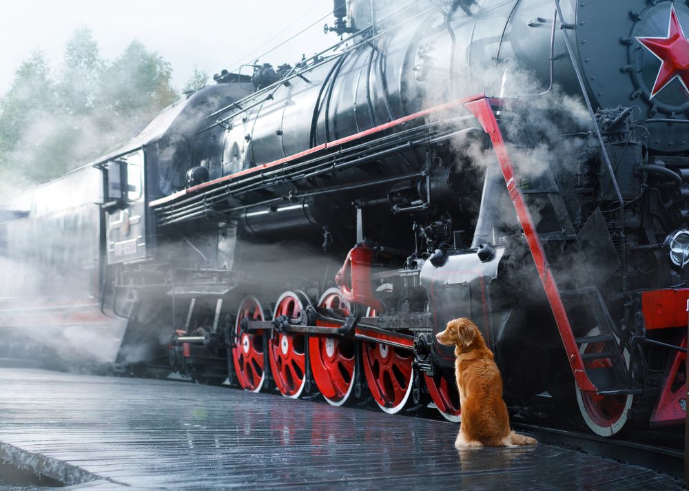 Photograph by Анна Аверьянова