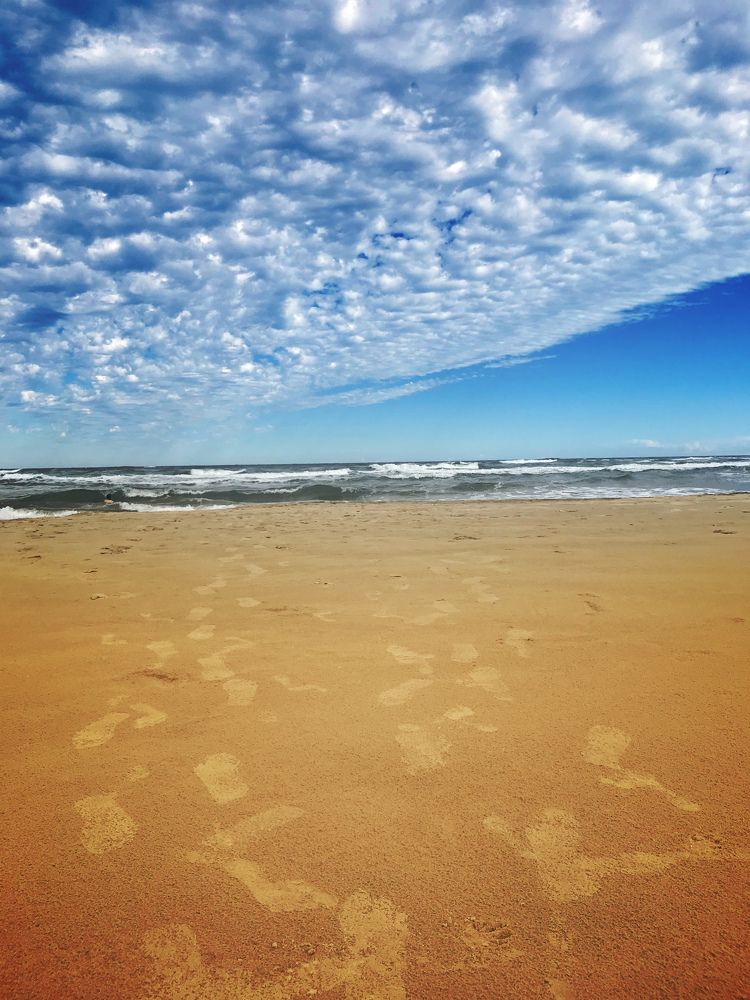 Photograph by Paulo Cesar Soares