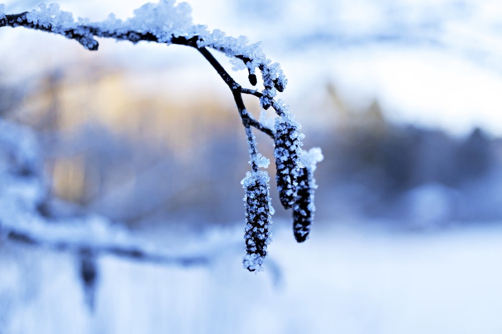 Photograph by Елена Гоосен