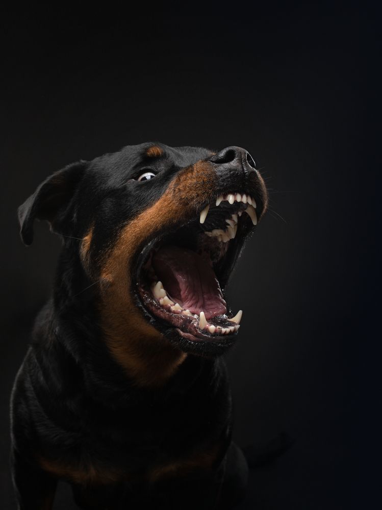 Photograph by Анна Аверьянова