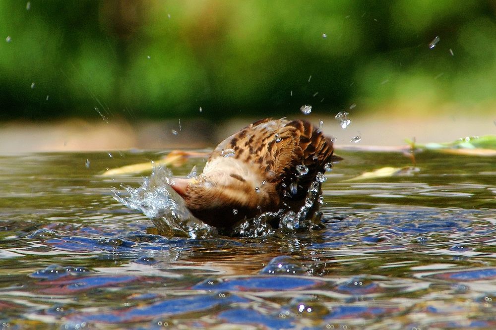 Photograph by Михаил Каштанов