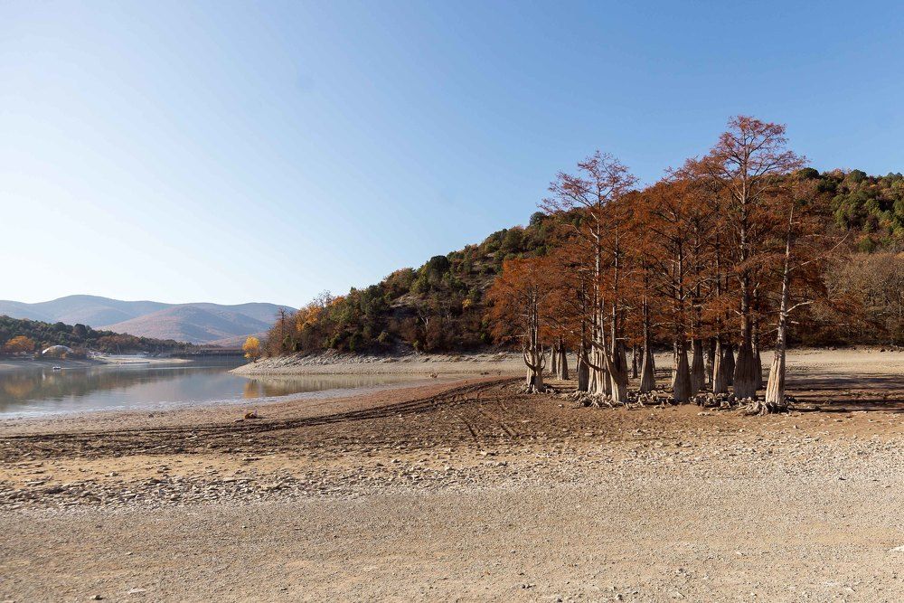 Photograph by Мария Чепрасова